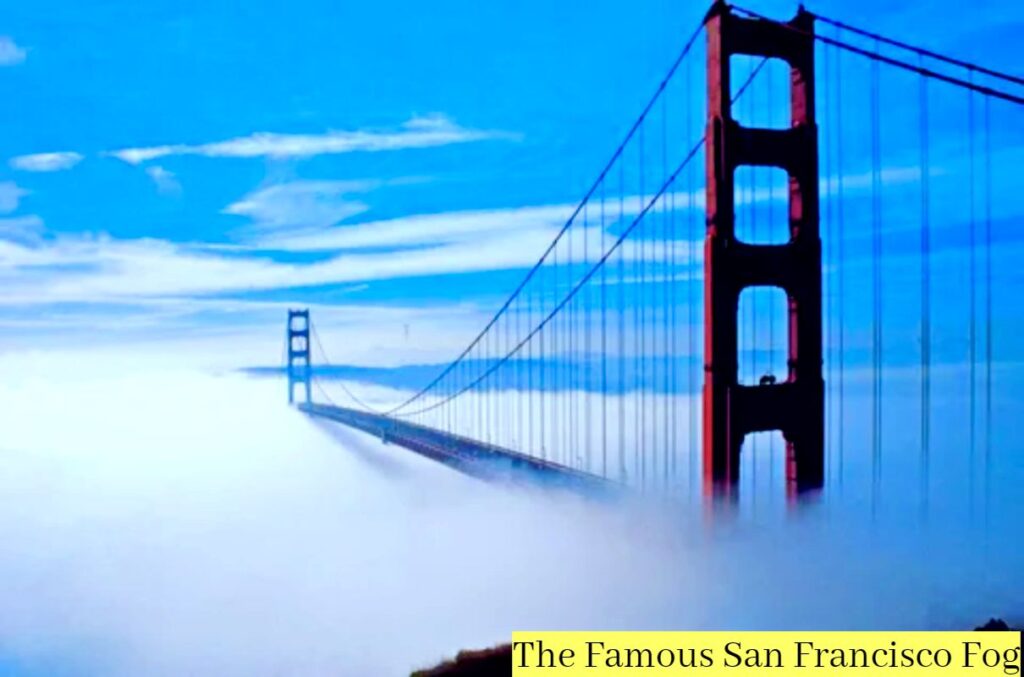 Understanding San Francisco Weather: A Comprehensive Guide for Visitors 